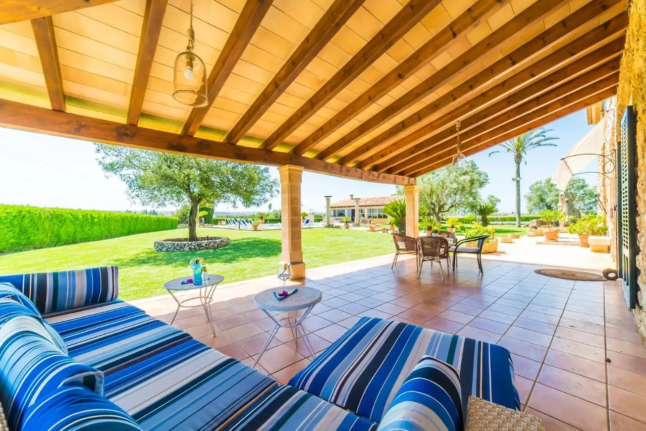 Ideal Property Mallorca - Can Colis Sa Pobla