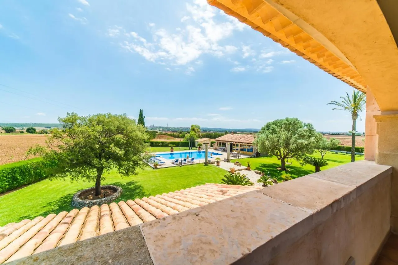 Ideal Property Mallorca - Can Colis Sa Pobla España