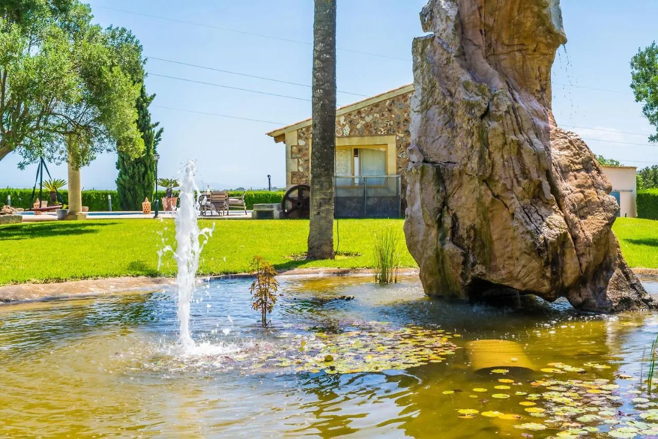 Ideal Property Mallorca - Can Colis Sa Pobla