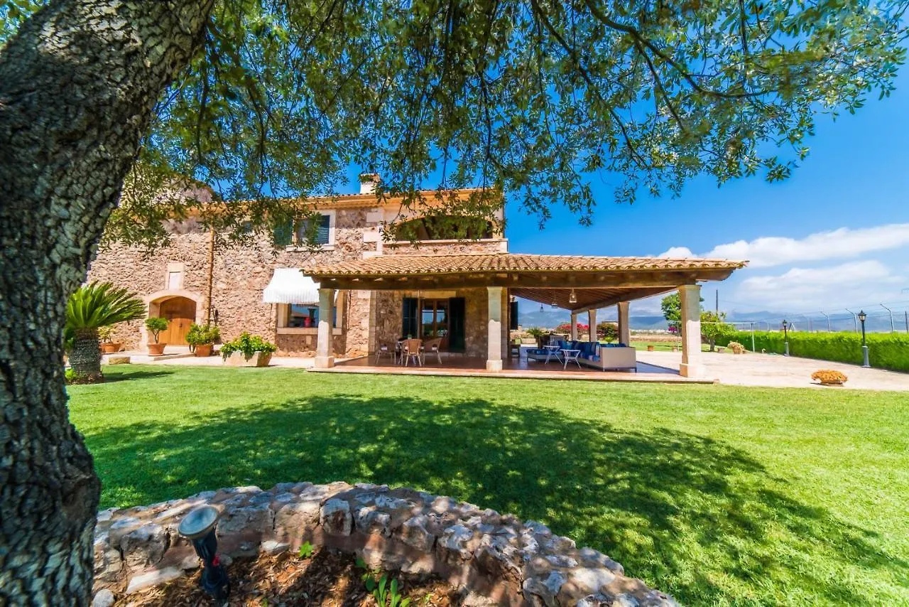 Ideal Property Mallorca - Can Colis Sa Pobla 0*,